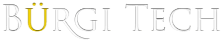 light logo